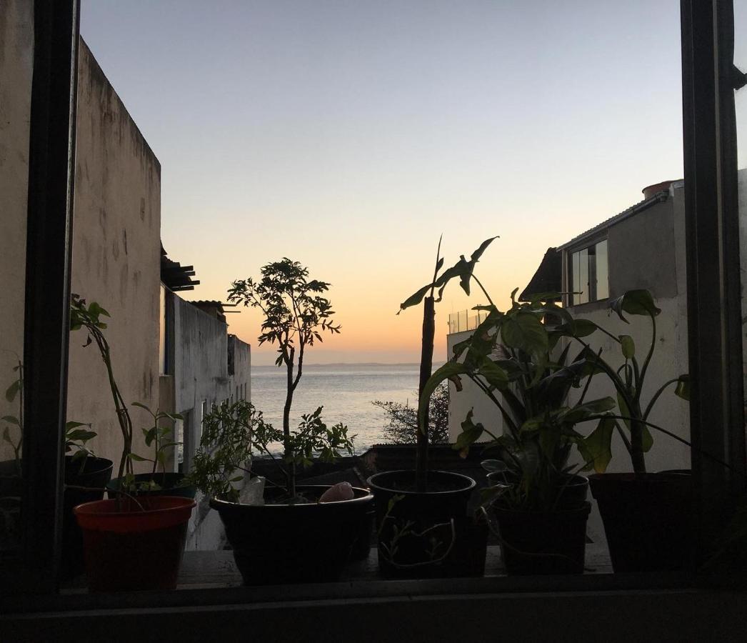 Casamarelo Hostel 살바도르 외부 사진