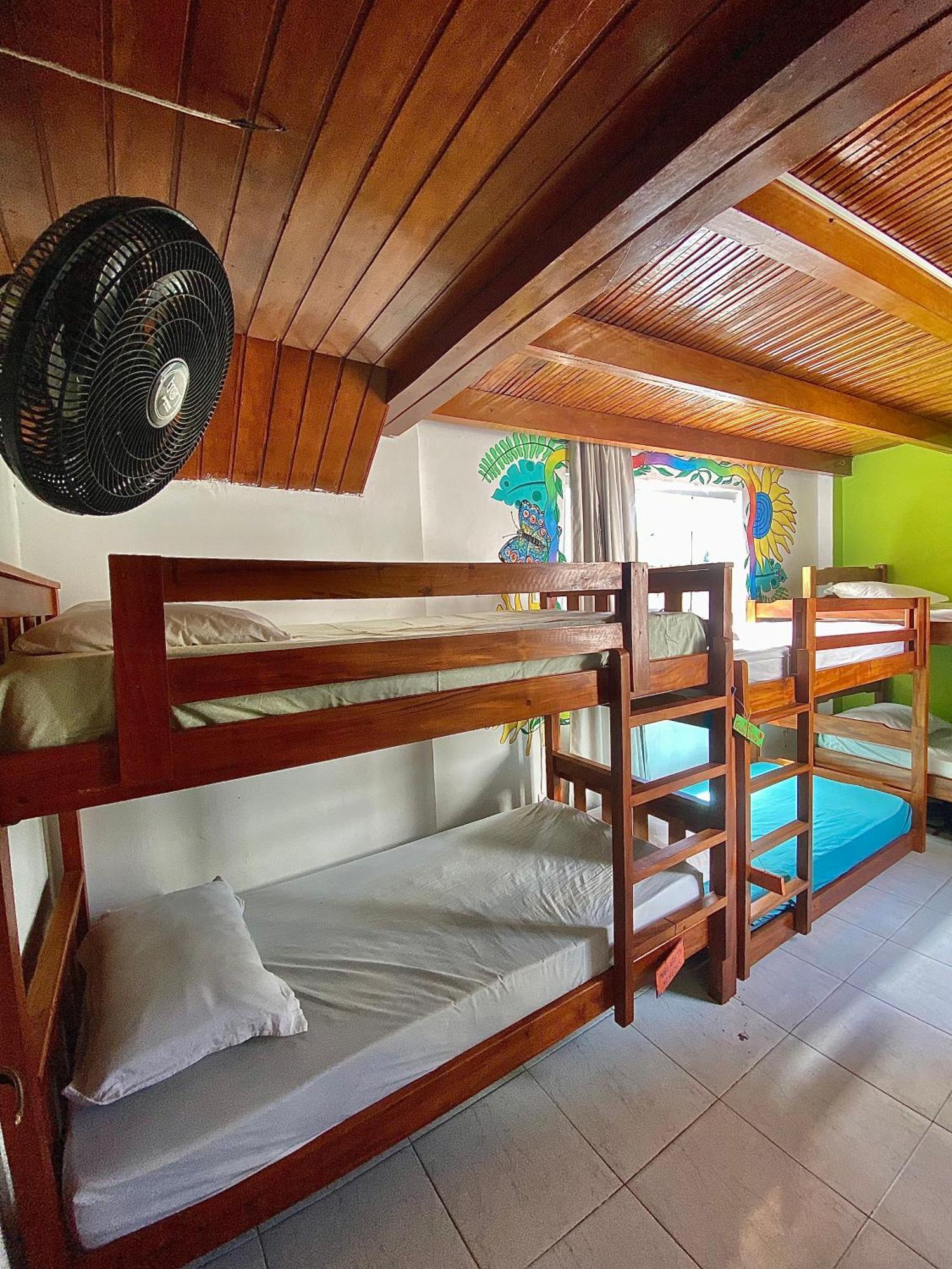 Casamarelo Hostel 살바도르 외부 사진